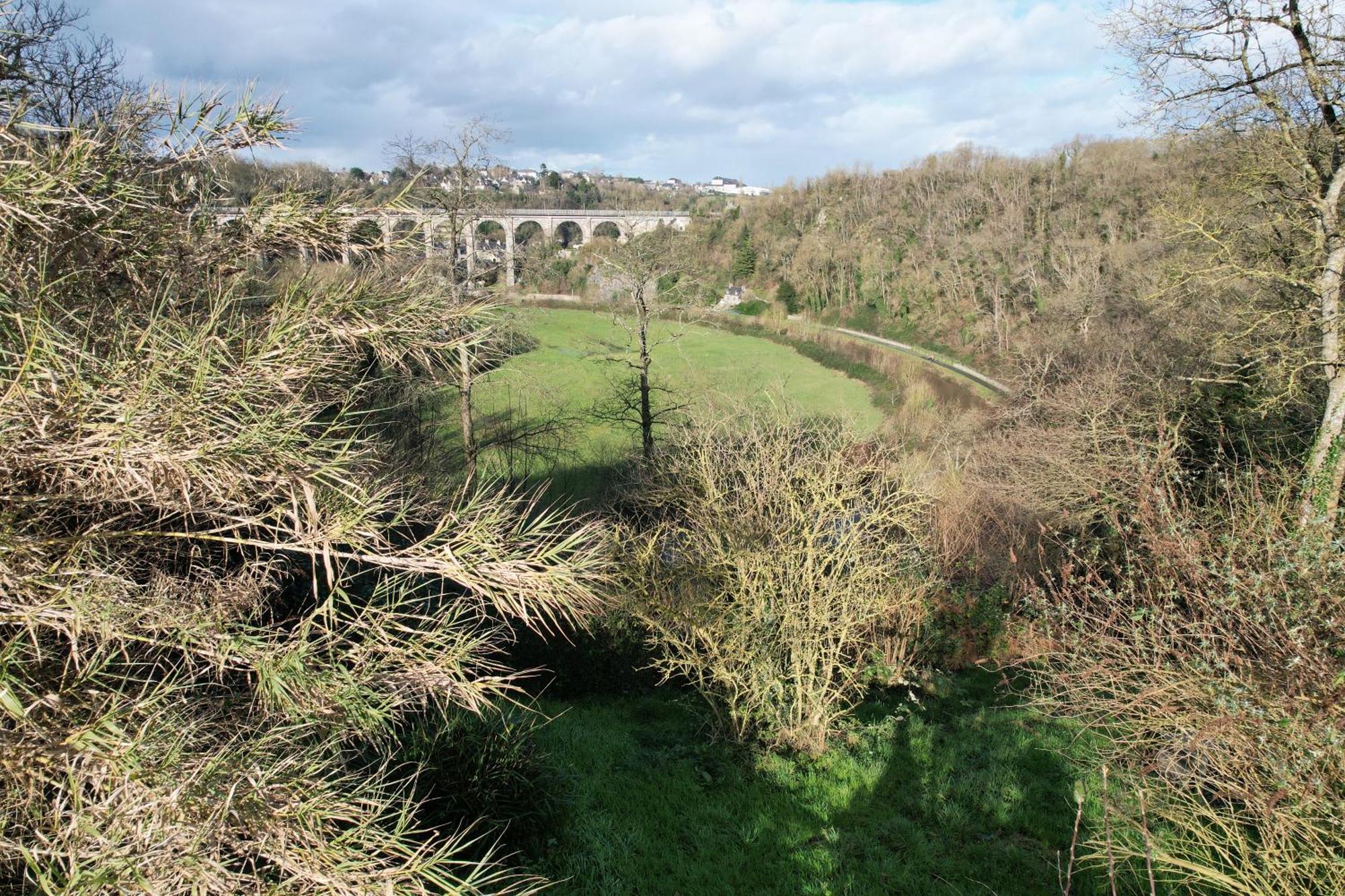 O Bois Dormant- Studio Vue Rance River Et Viaduc De Dinan Lanvallay Kültér fotó