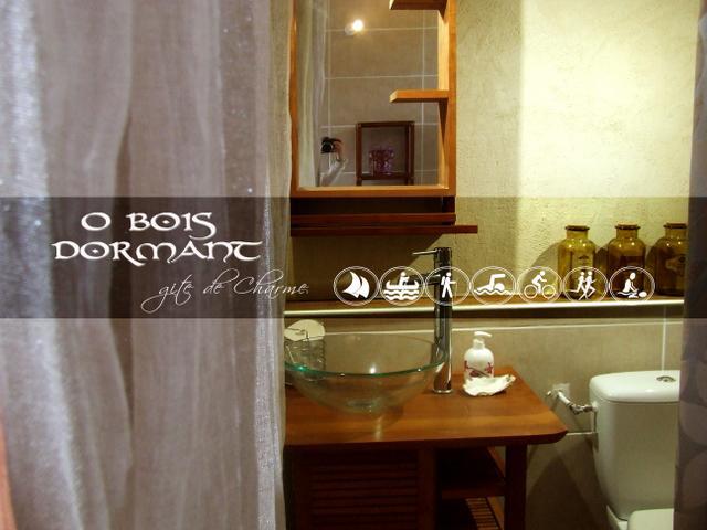 O Bois Dormant- Studio Vue Rance River Et Viaduc De Dinan Lanvallay Kültér fotó