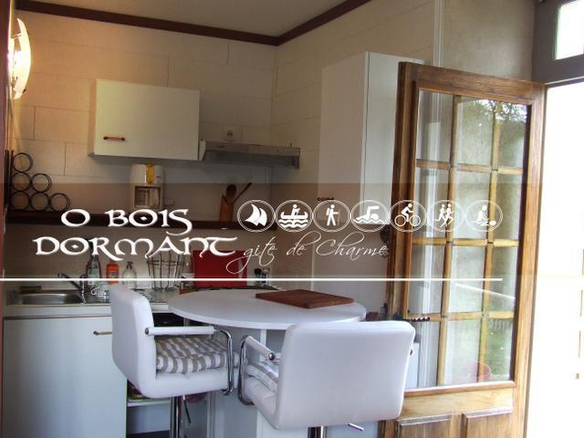 O Bois Dormant- Studio Vue Rance River Et Viaduc De Dinan Lanvallay Kültér fotó